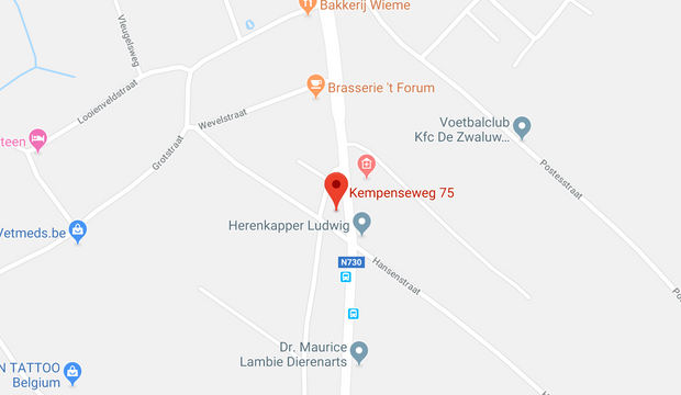 adres kinepraktijk martens google maps
